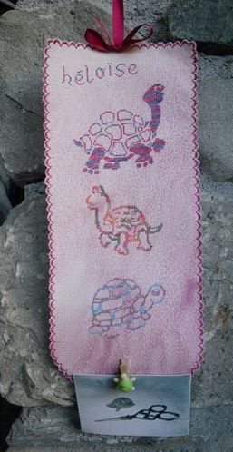 banniere-tortue.jpg
