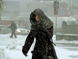 froid-hiver2011-2012.jpg
