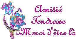 amiti--tendresse-merci-d--tre-l-.gif