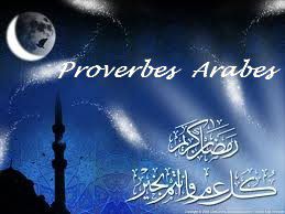 autres proverbes arabes ou citations arabes ou le bon sens est roi.