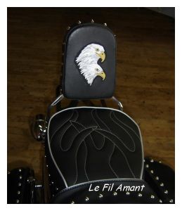 dosseret sissy bar