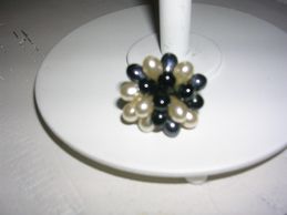 DSCN6230.JPG