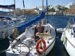 serifos2008.jpg