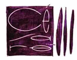 logo_cesare