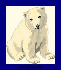 0601-ours-polaire.jpg