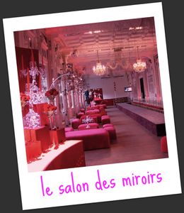 salon-miroirs2.jpg