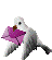 birdmail