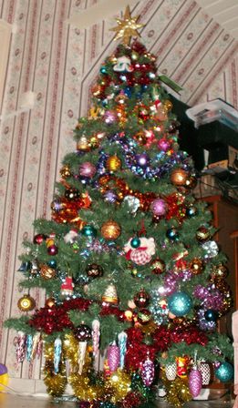 Sapin-de-Noel.JPG
