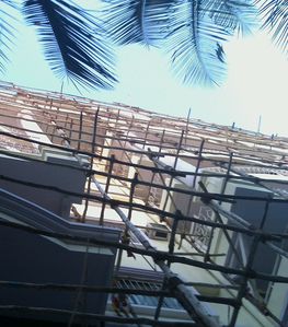 IMAG0059-1.jpg