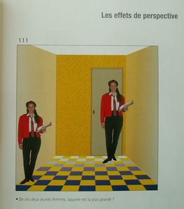 Illusions-d-optique-3.JPG