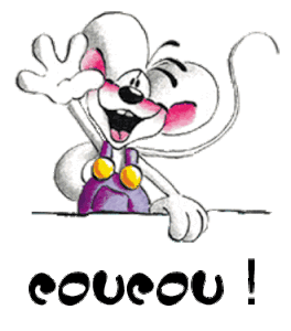 coucou didll