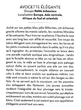 Le-Petit-Livre-des-Oiseaux-4.JPG