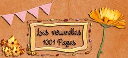 banniere1001