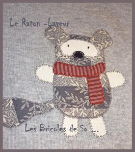tee-shirt-raton-laveur-modif.jpg
