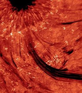 autre-vue-de-la-tache-solaire-les-tra-nees-noires-correspon.jpg