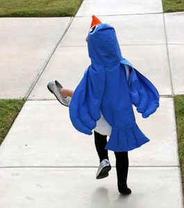 IMG2755-L.jpg