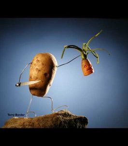 une-pomme-de-terre-beliqueuse-photo-terry-border 91878 w460