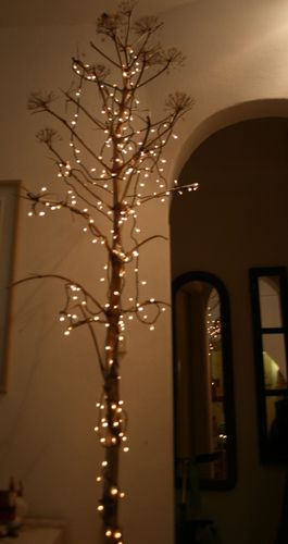 lumieres-001.JPG