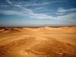 OKLAHOMA little-sahara-state-park-oklahoma-carolyn-pettijoh