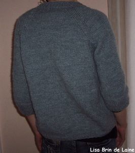 gilet gris dos