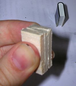 DSCN4143bis.jpg
