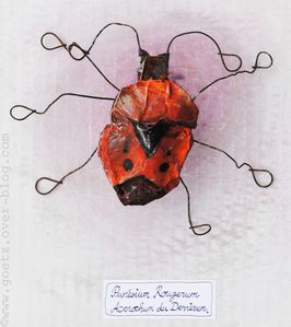 blog- punaise, (punésium rougerum accrochum du derrierum),