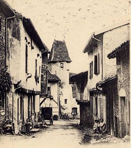 fleur de lys1