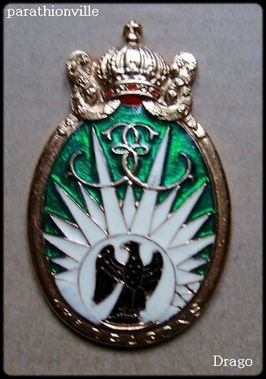 Insignes régimentaires 13°RDP (parathionville) (7)