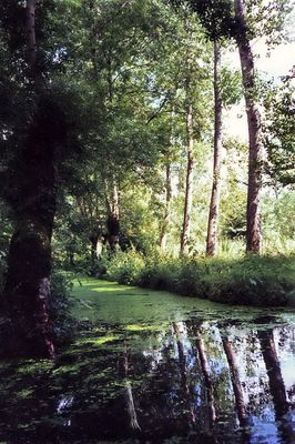 Canal