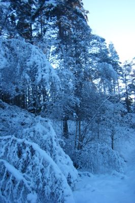23-fevrier-2010-199.jpg
