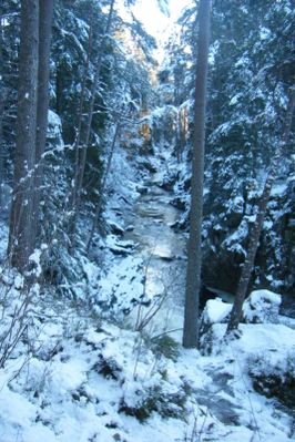 23-fevrier-2010-206.jpg