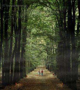 Nos deux petites mains