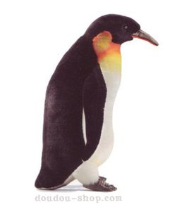 anima_pingouin_zoom.jpg