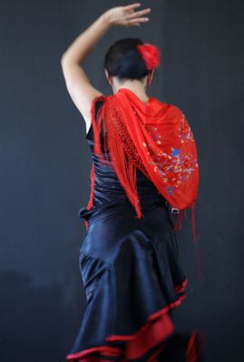 DSC02863.jpg