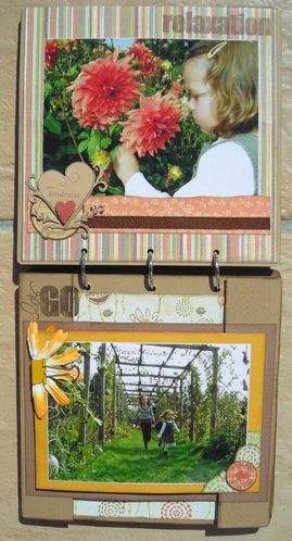 2009-08-25-Potager-09.jpg