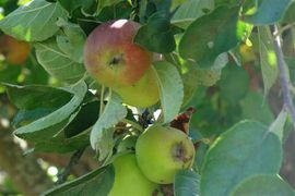 DSC027810909