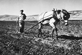 Kibboutz-un-siecle-pour-batir-Israel_article_popin.jpg