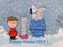 bonne-annee-2015.png