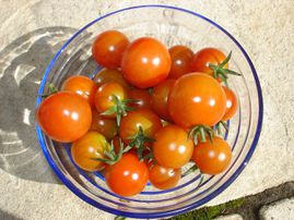 tomatecerise