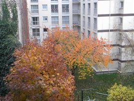 DSCN11611109