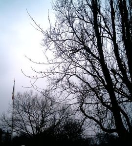 fevrier-2.jpg