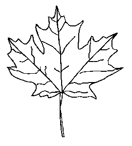 coloriage-feuille.gif