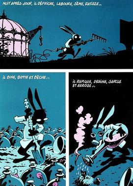 La-carotte-aux-etoiles-2.JPG