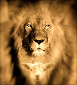 Lion-of-Judah-Lamb-of-God_2-copie-1.jpg