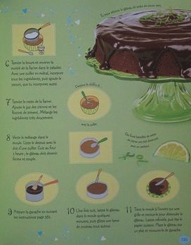 Mes-meilleurs-recettes-gateaux-biscuits-tartes-et-autres-7.JPG