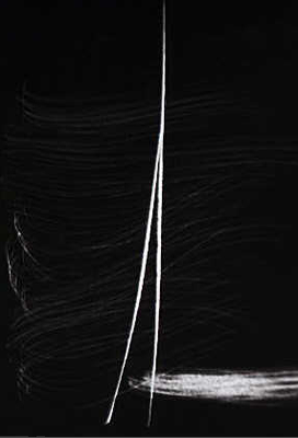 Hartung_detail2.png