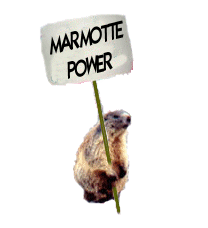 gifs1 marmotte power
