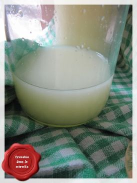 Citronnade1