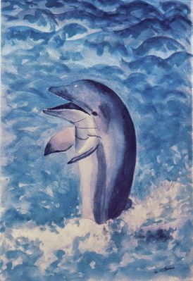 LE SALUT DU DAUPHIN X
