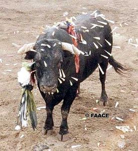 toro_con_dardos.jpg